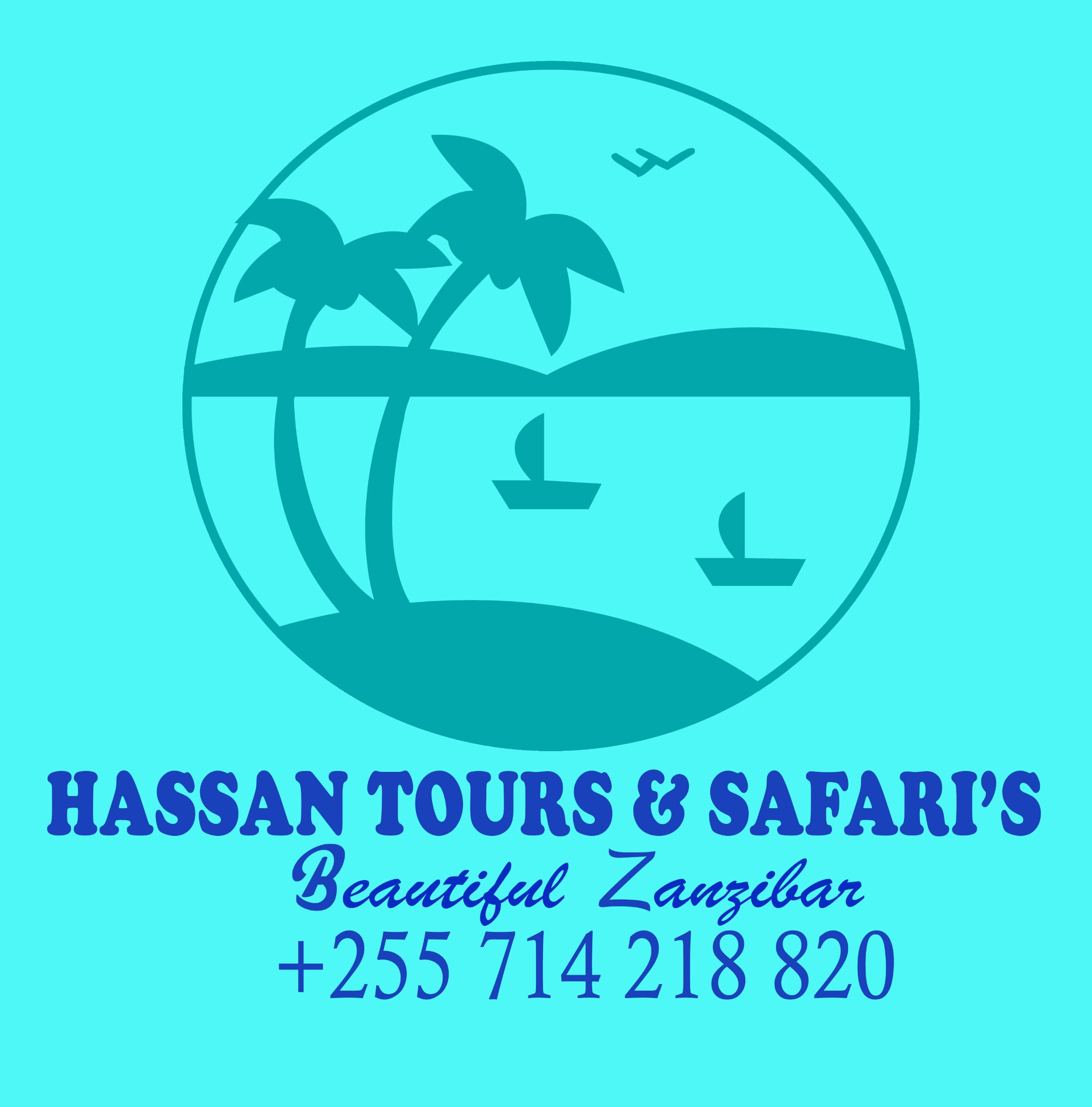 Hassan Tours and Safaris logo
